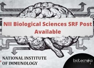 NII Project SRF Posting