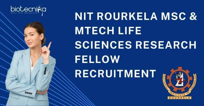NIT Rourkela Job Opening