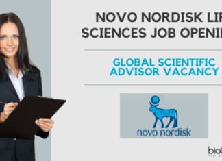 Novo Nordisk Jobs For