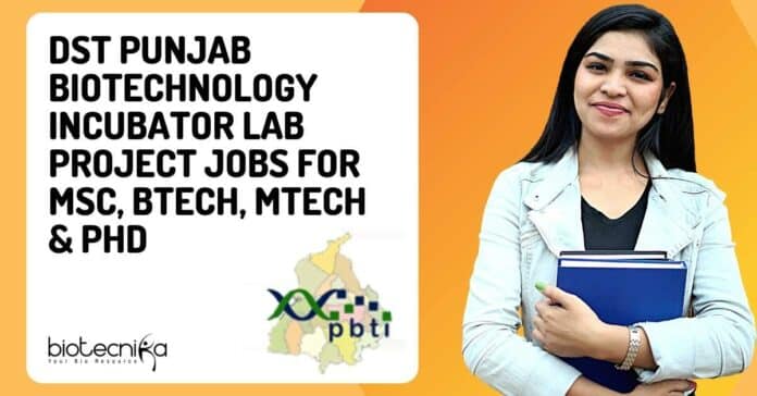 PBTI Lab Jobs 2022