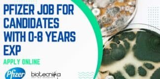 Pfizer Microbiology Vacancy 2022