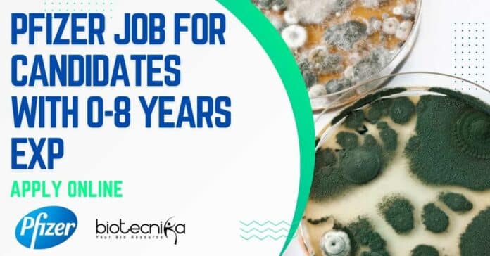Pfizer Microbiology Vacancy 2022