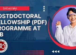 Postdoctoral Fellowship (PDF) Programme