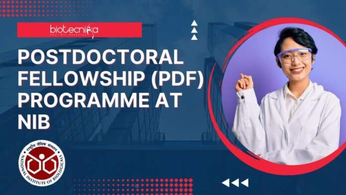 Postdoctoral Fellowship (PDF) Programme