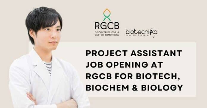Project Assistant Job Opening