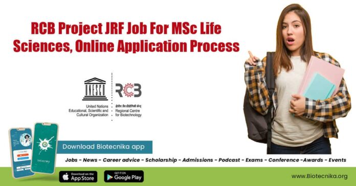 RCB MSc JRF Job