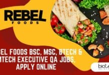 Rebel Foods BSc, MSc, BTech & MTech Executive QA Jobs, Apply Online Rebel Foods QA Jobs