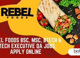 Rebel Foods QA Jobs