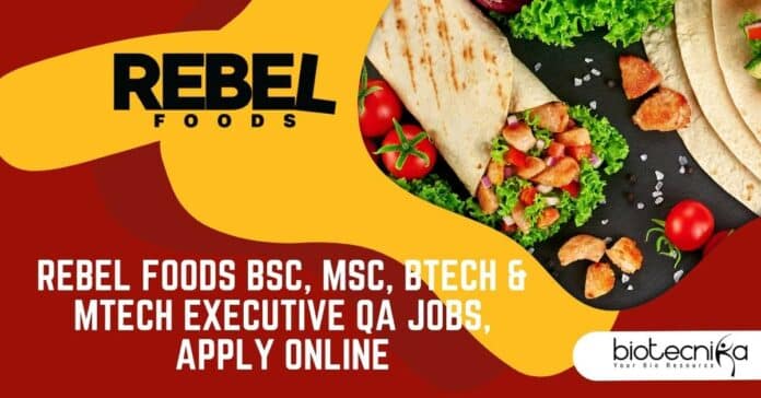 Rebel Foods QA Jobs