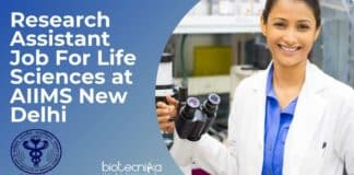 Research Assistant Job For