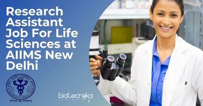 Research Assistant Job For