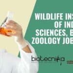 WII Jobs Latest 2022