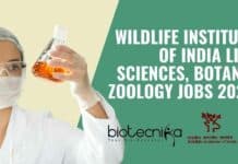 Wildlife Institute of India Life Sciences, Botany, Zoology Jobs 2022 WII Jobs Latest 2022