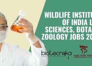 WII Jobs Latest 2022