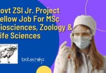 Govt ZSI Jr. Project Fellow Job For MSc Biosciences, Zoology & Life Sciences ZSI Project Fellow Opening