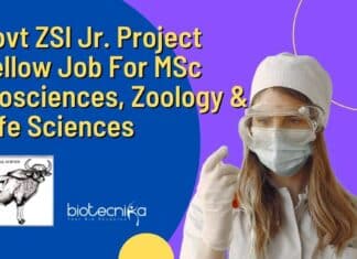 ZSI Project Fellow Opening