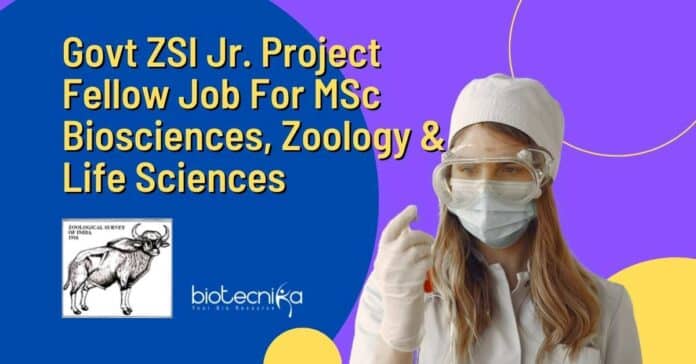 ZSI Project Fellow Opening