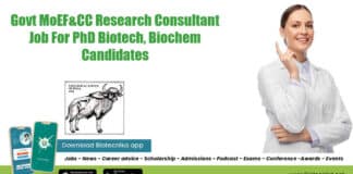 ZSI Research Consultant Job