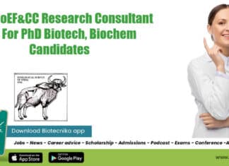 ZSI Research Consultant Job