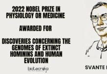 2022 Nobel Prize in Physiology or Medicine Awarded For Discoveries Concerning The Genomes of Extinct Hominins and Human Evolution 2022 Nobel Prize Winner