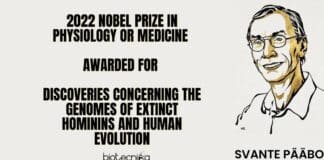 2022 Nobel Prize Winner