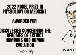 2022 Nobel Prize Winner