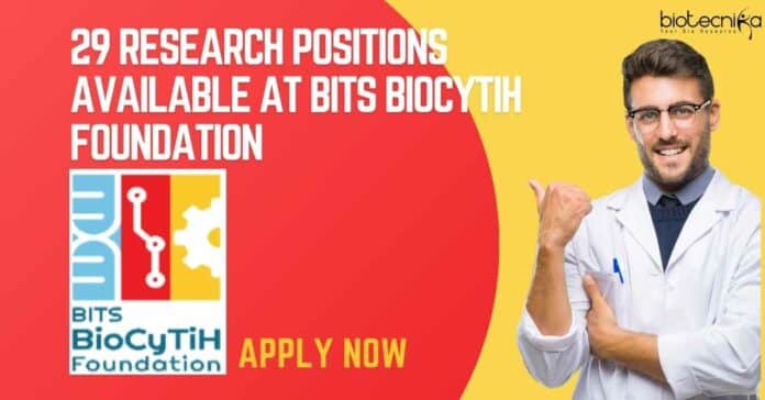 BITS BioCyTiH Foundation Job New