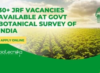 BSI JRF Jobs