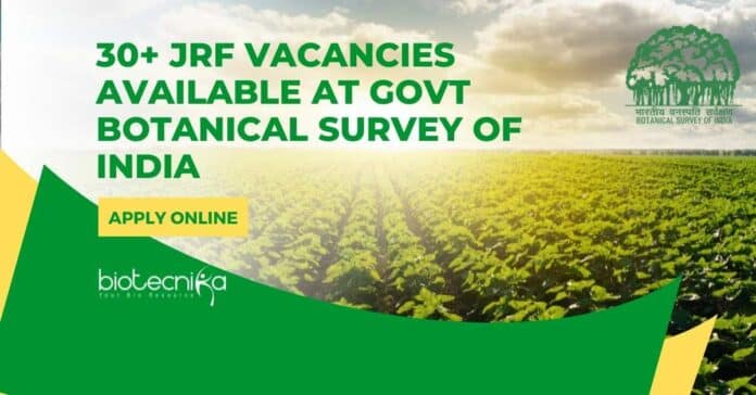 BSI JRF Jobs