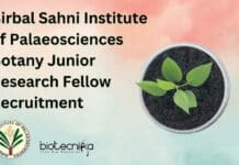 Birbal Sahni Institute of Palaeosciences Botany Junior Research Fellow Recruitment Botany JRF Opening 2022