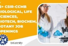 12+ CSIR-CCMB Biological, Life Sciences, Biotech, Biochem, Botany Job Openings CCMB Job Vacancies 2022