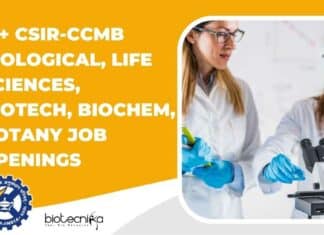 CCMB Job Vacancies 2022