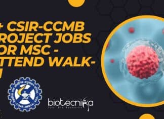 CCMB Project Vacancies 2022