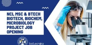 CSIR-NCL Job Opening