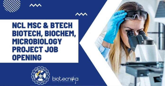 CSIR-NCL Job Opening