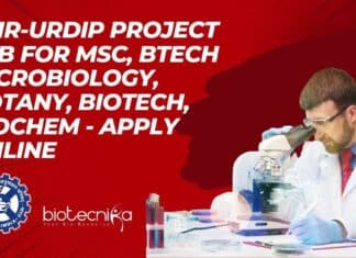 CSIR-URDIP Project Job