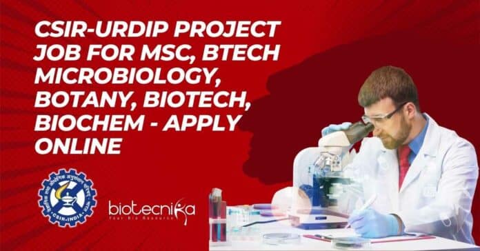 CSIR-URDIP Project Job