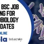 Cipla BSc Job Opening