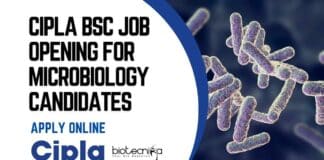 Cipla BSc Job Opening