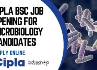 Cipla BSc Job Opening