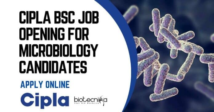 Cipla BSc Job Opening