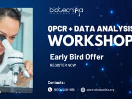 qPCR Data Analysis Workshop