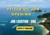 Pfizer QC Job Opening in Goa – Apply Online – Applications Closes Soon Pfizer QC Job in Goa
