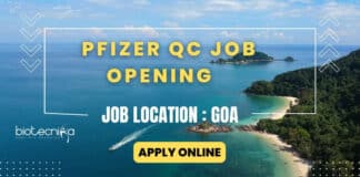 Pfizer QC Job in Goa