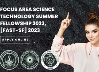 Focus Area Summer Fellowship 2023
