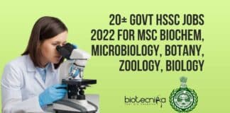 HSSC Jobs 2022