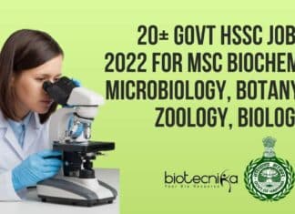 HSSC Jobs 2022