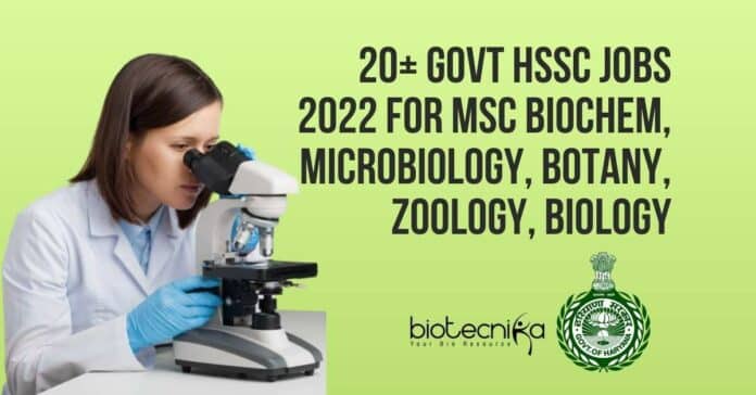 HSSC Jobs 2022
