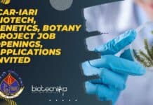 ICAR-IARI Biotech, Genetics, Botany Project Job Openings, Applications Invited IARI Project Jobs 2022