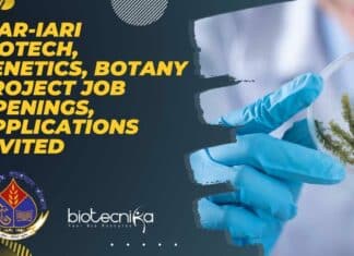 IARI Project Jobs 2022